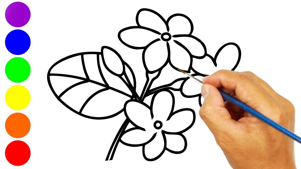 Detail Sketsa Gambar Bunga Melati Nomer 10