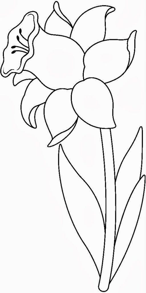 Detail Sketsa Gambar Bunga Mudah Digambar Nomer 6