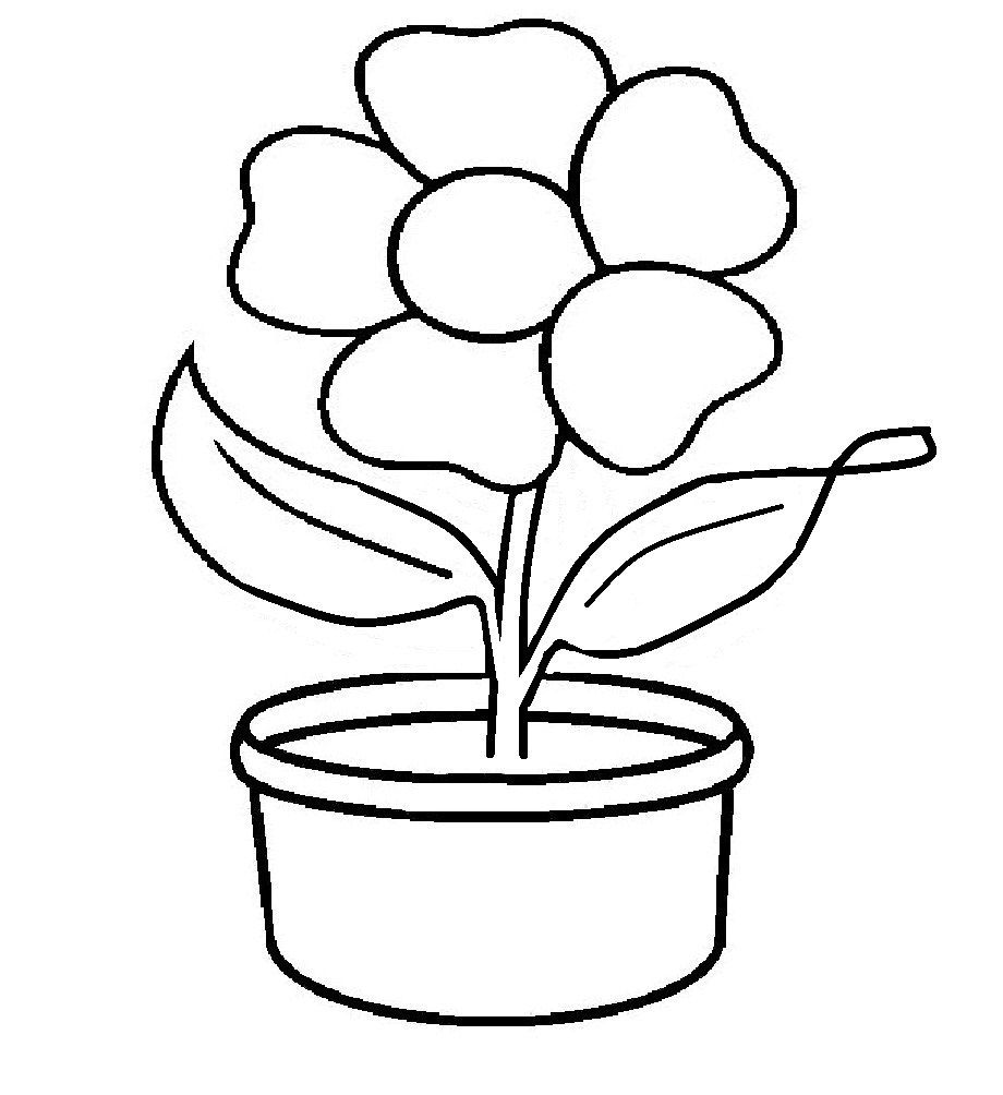 Sketsa Gambar Bunga Mudah Ditiru - KibrisPDR