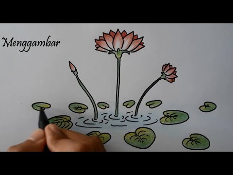 Detail Sketsa Gambar Bunga Teratai Yang Mudah Digambar Nomer 26