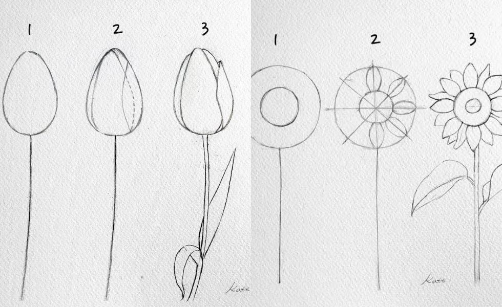 Detail Sketsa Gambar Bunga Terompet Nomer 26
