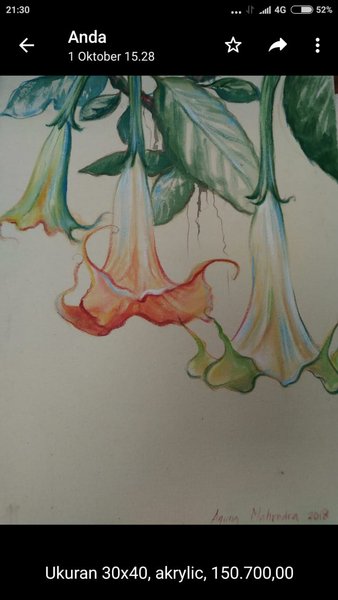 Detail Sketsa Gambar Bunga Terompet Nomer 4