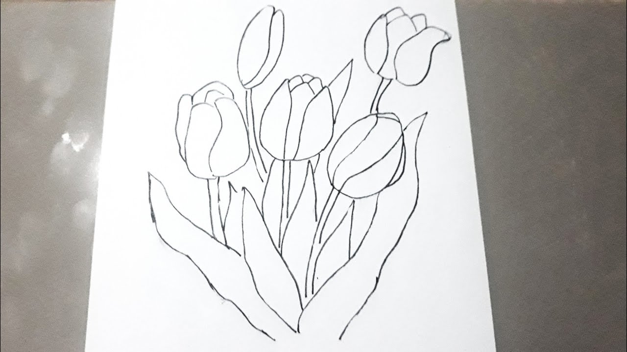 Detail Sketsa Gambar Bunga Tulip Nomer 35