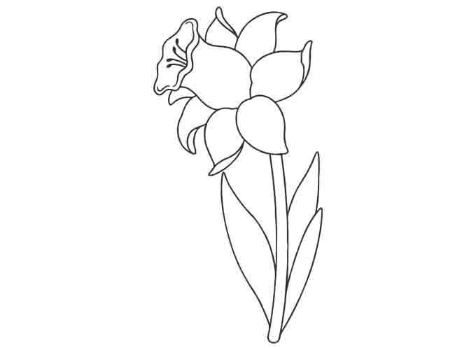 Detail Sketsa Gambar Bunga Tulip Nomer 39