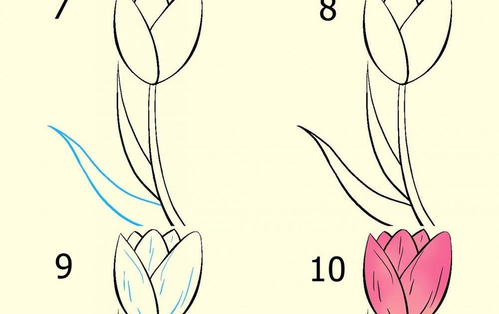 Detail Sketsa Gambar Bunga Yang Mudah Ditiru Nomer 21