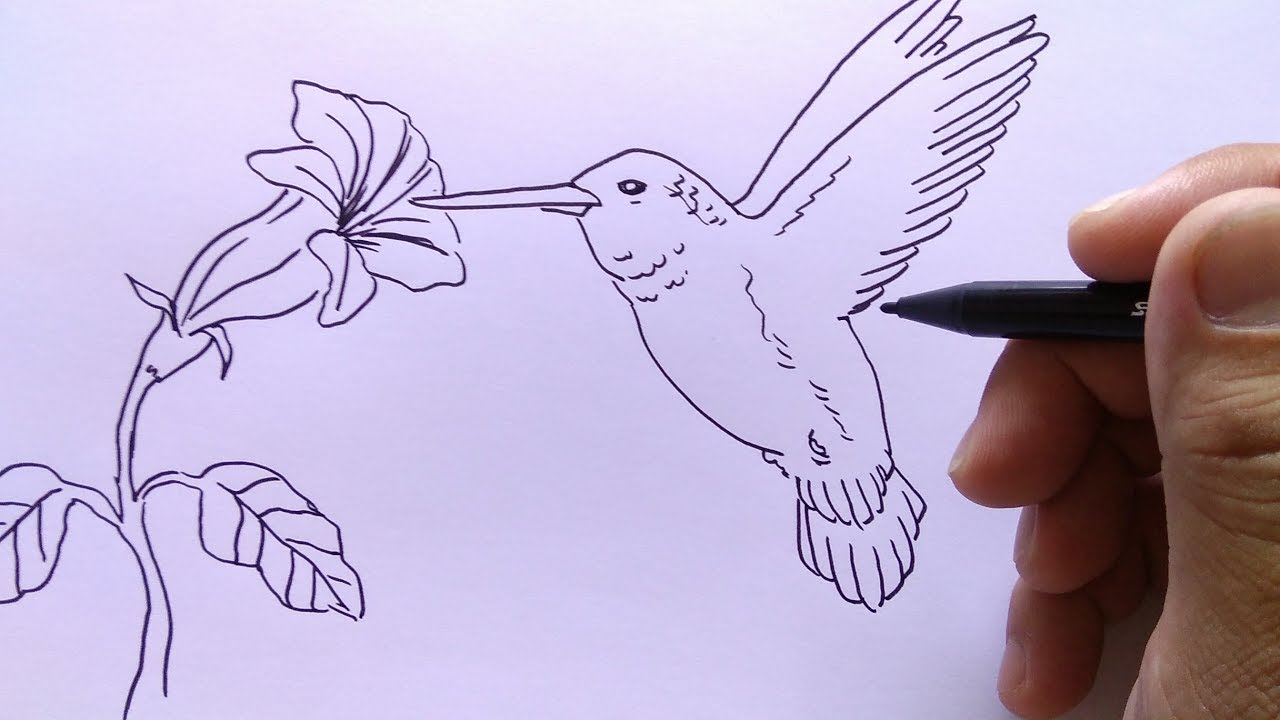 Detail Sketsa Gambar Burung Di Pohon Nomer 20