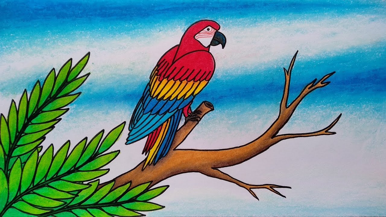Detail Sketsa Gambar Burung Di Pohon Nomer 10