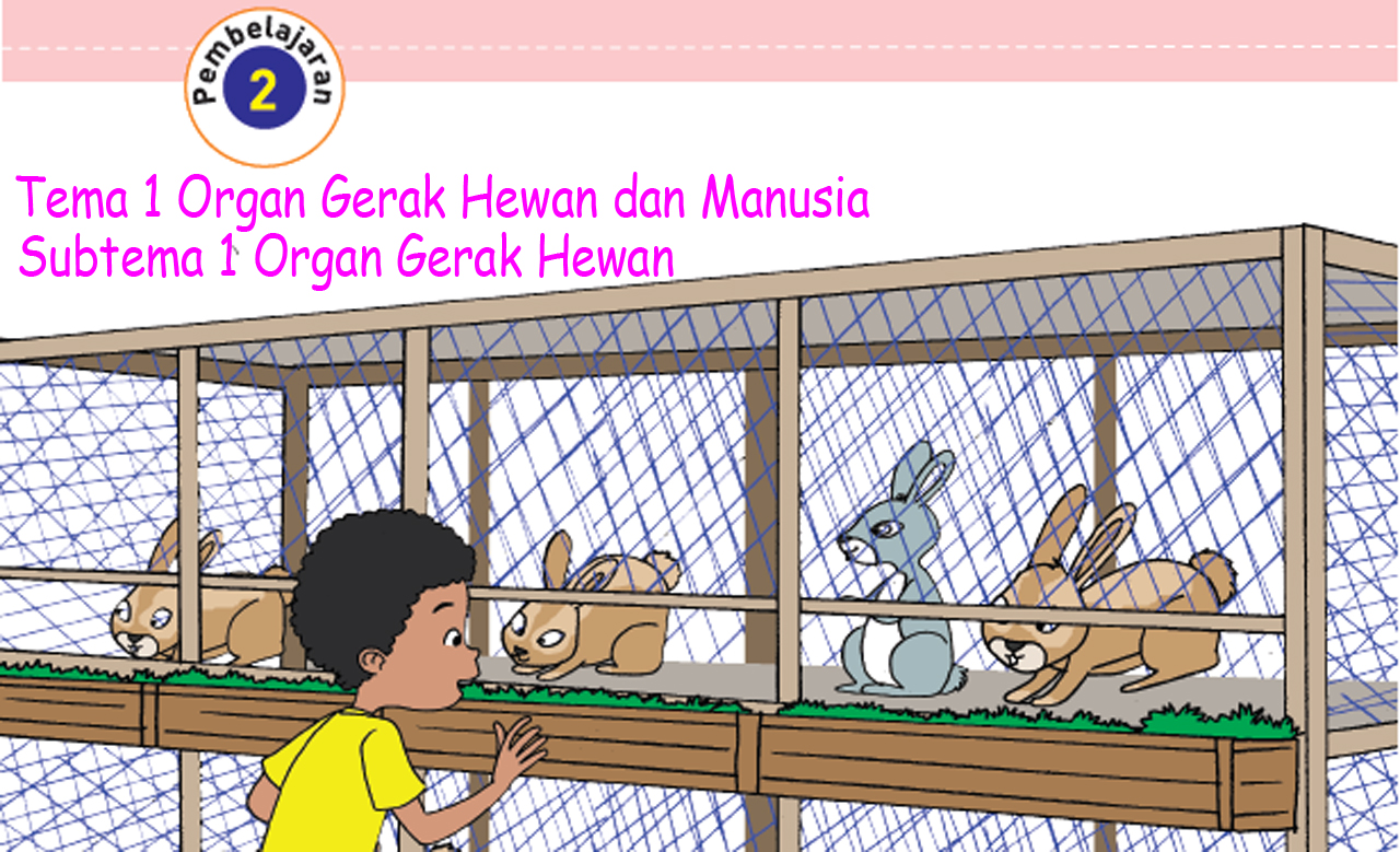 Detail Sketsa Gambar Burung Pembelajaran 2 Tema 3 Kelas 4 Nomer 32