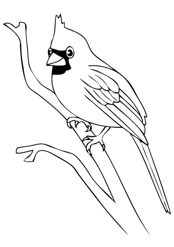 Detail Sketsa Gambar Burung Yang Paling Kreativ Nomer 6