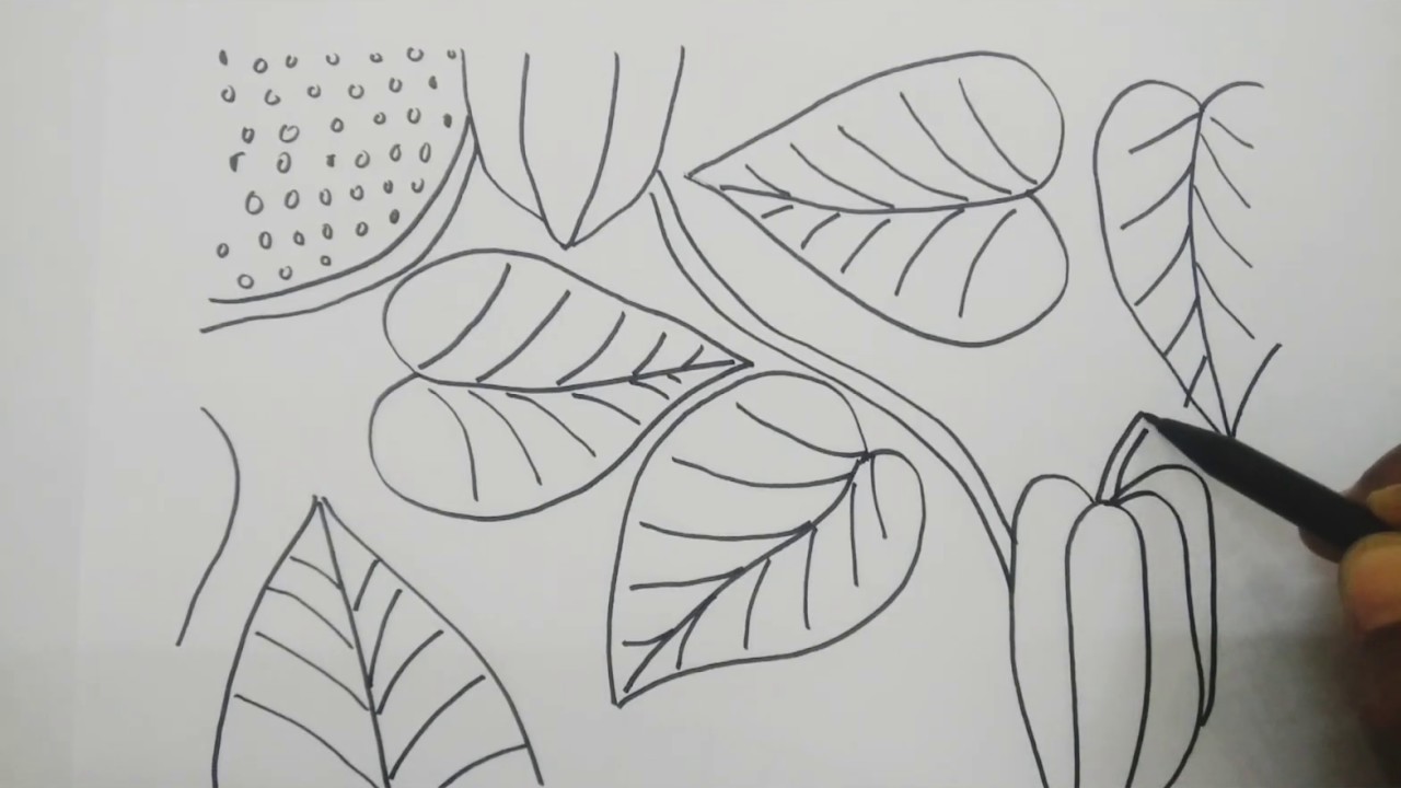 Detail Sketsa Gambar Dekoratif Tumbuhan Nomer 46