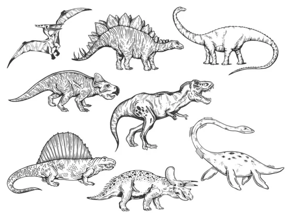 Detail Sketsa Gambar Dinosaurus Nomer 28