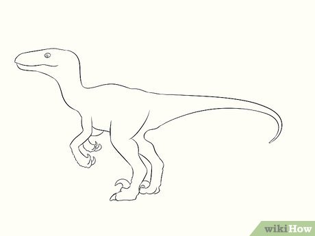 Detail Sketsa Gambar Dinosaurus Nomer 9
