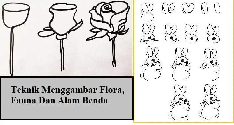 Detail Sketsa Gambar Flora Fauna Dan Alam Benda Nomer 16