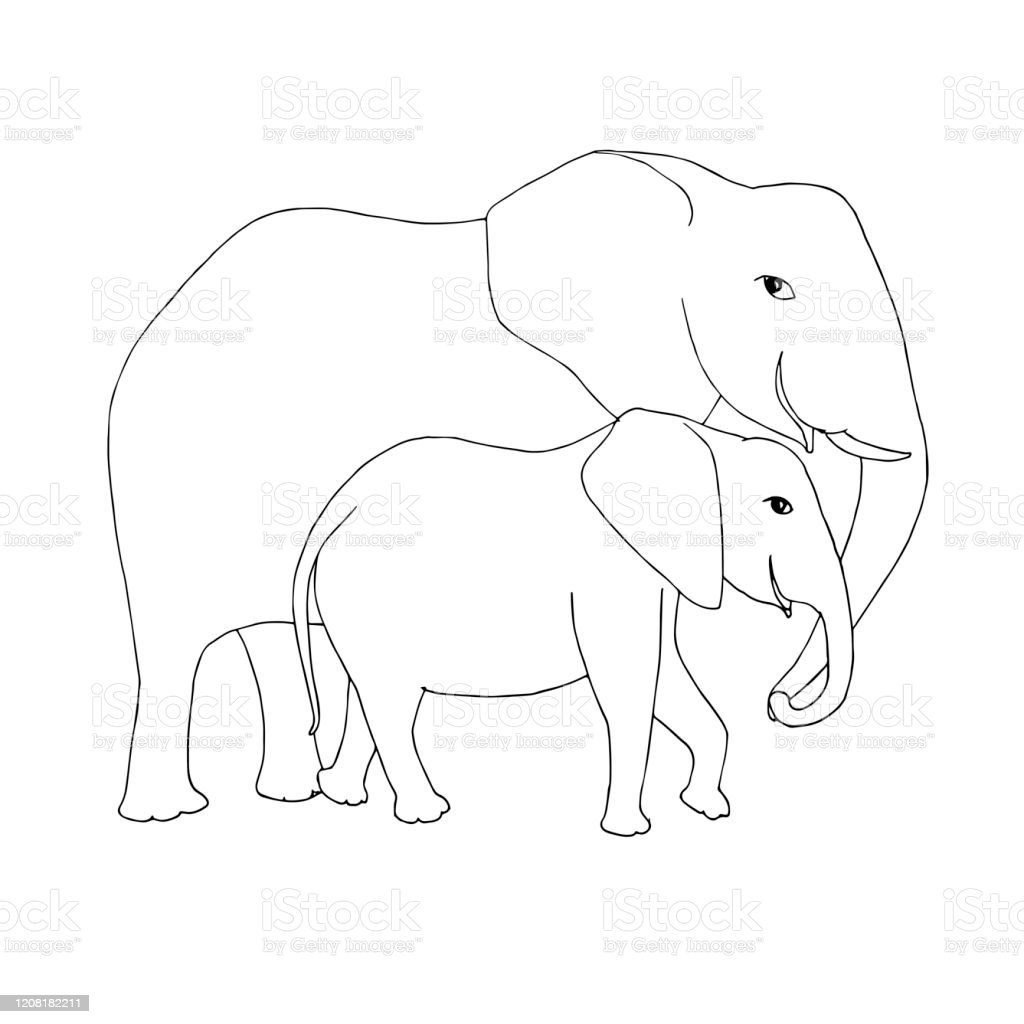 Detail Sketsa Gambar Hewan Gajah Nomer 32