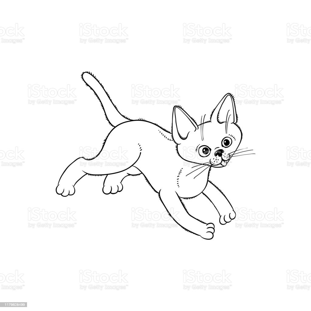 Detail Sketsa Gambar Hewan Kucing Koleksi Nomer 29