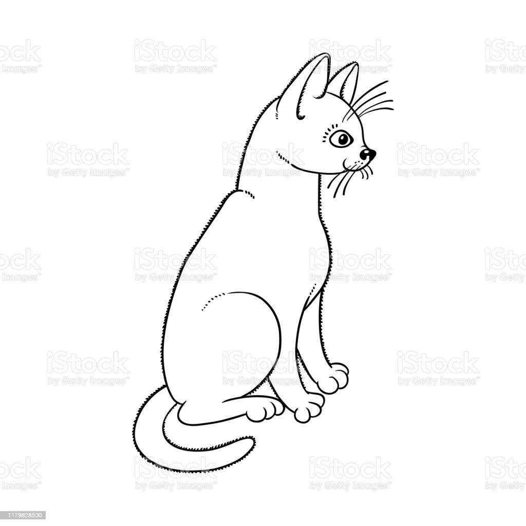 Detail Sketsa Gambar Hewan Kucing Koleksi Nomer 55
