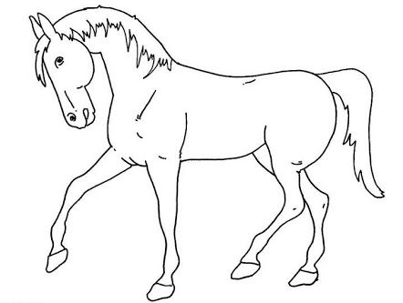 Detail Sketsa Gambar Hewan Kuda Nomer 3
