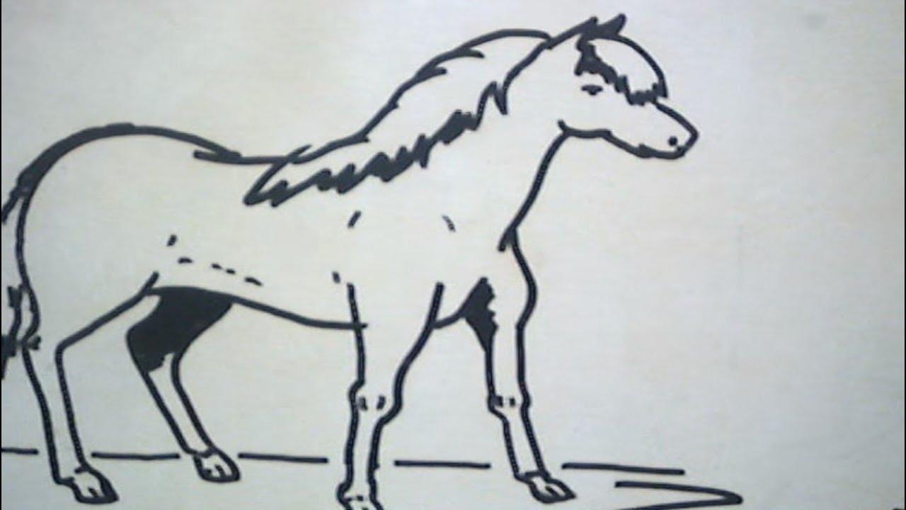 Detail Sketsa Gambar Hewan Kuda Nomer 34