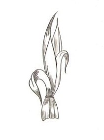 Detail Sketsa Gambar Hiasan Bunga Dari Kulit Jagung Nomer 23