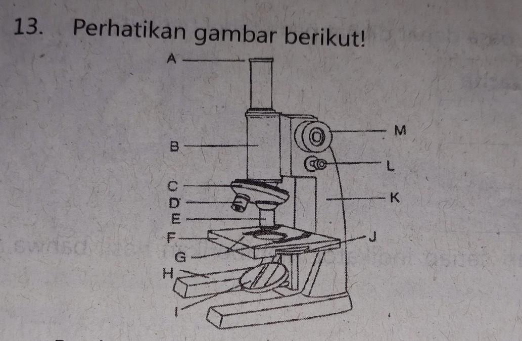 Detail Sketsa Gambar Huruf F Nomer 49