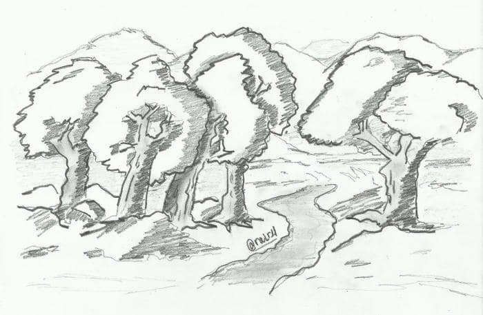 Detail Sketsa Gambar Hutan Nomer 23