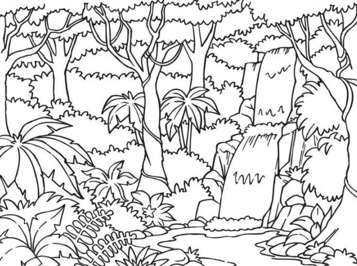 Detail Sketsa Gambar Hutan Nomer 10