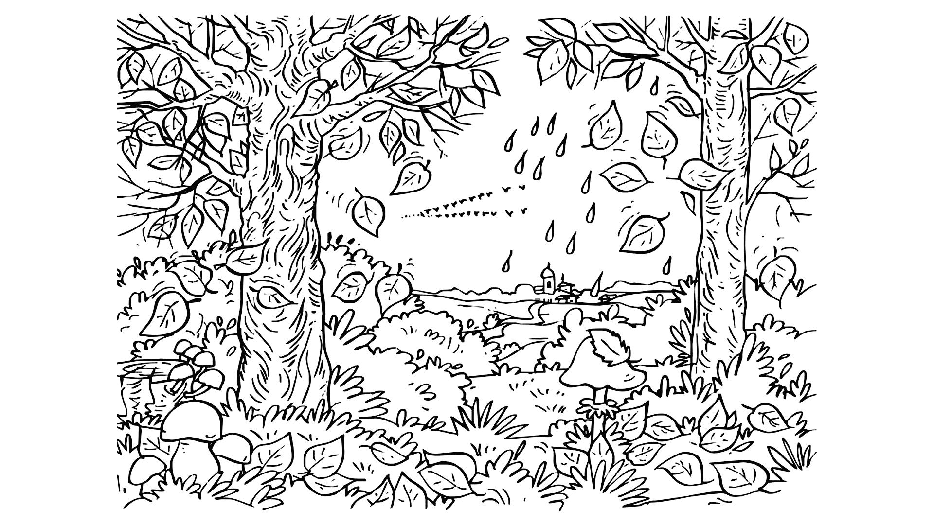 Detail Sketsa Gambar Hutan Romantis Nomer 20