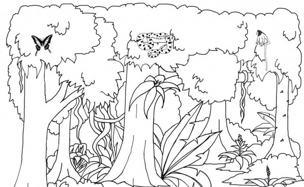 Detail Sketsa Gambar Hutan Romantis Nomer 27