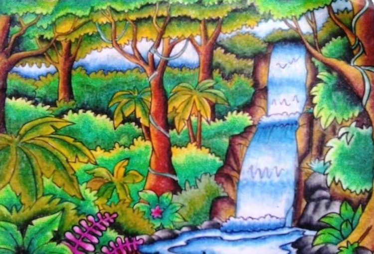 Detail Sketsa Gambar Hutan Romantis Nomer 33