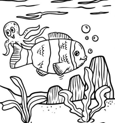 Detail Sketsa Gambar Ikan Nomer 12