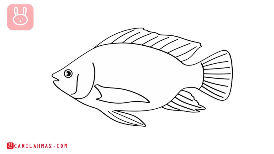 Detail Sketsa Gambar Ikan Nomer 26