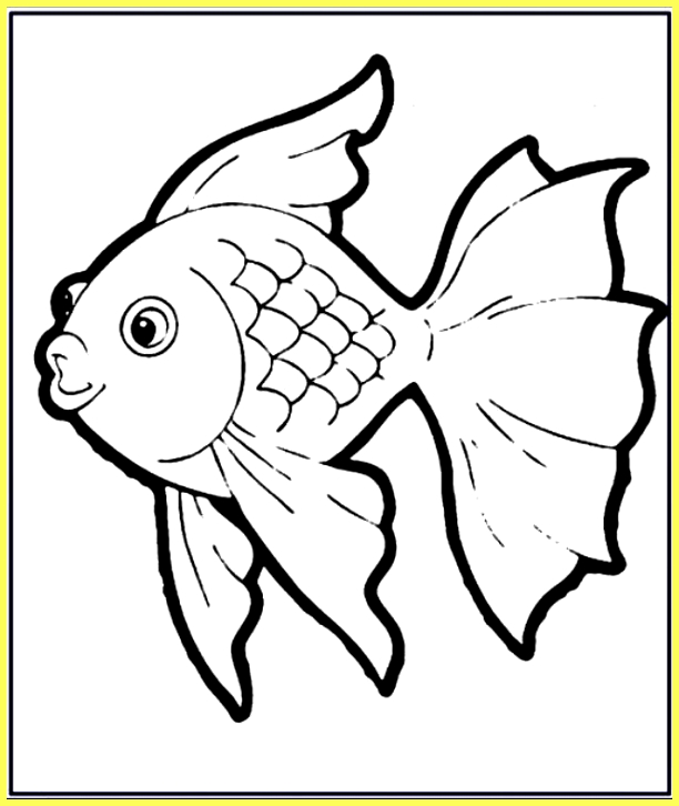 Detail Sketsa Gambar Ikan Nomer 5