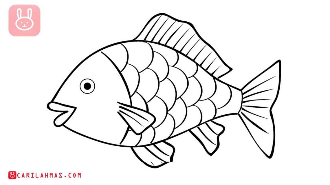 Detail Sketsa Gambar Ikan Nomer 9