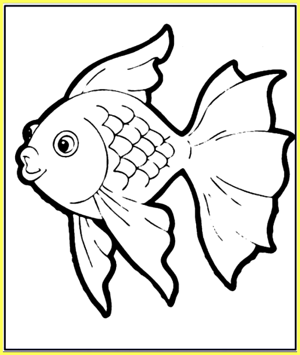 Detail Sketsa Gambar Ikan Cupang Nomer 20