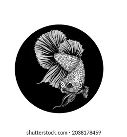 Download Sketsa Gambar Ikan Cupang Nomer 31