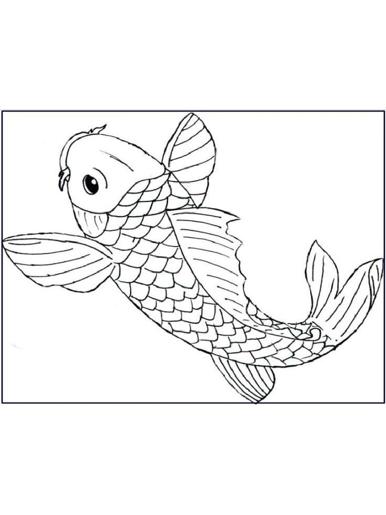 Detail Sketsa Gambar Ikan Doc Nomer 11