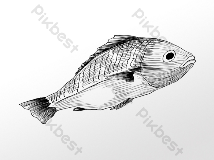 Detail Sketsa Gambar Ikan Doc Nomer 17
