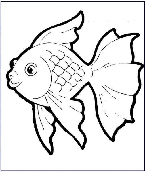 Detail Sketsa Gambar Ikan Doc Nomer 4