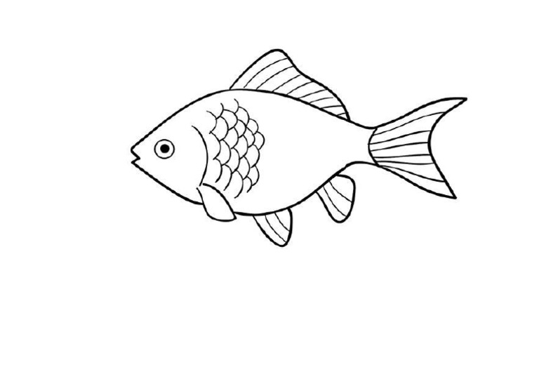 Detail Sketsa Gambar Ikan Doc Nomer 9