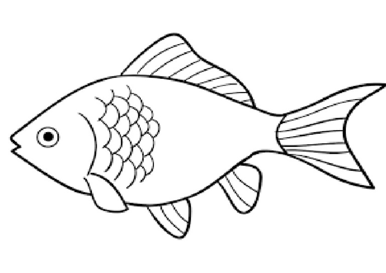 Detail Sketsa Gambar Ikan Doc Nomer 10