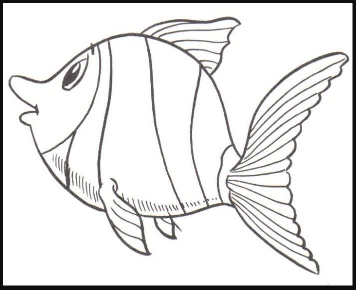 Detail Sketsa Gambar Ikan Hias Nomer 7