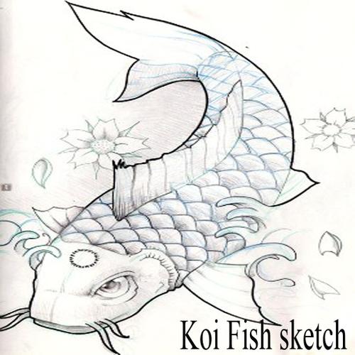 Detail Sketsa Gambar Ikan Koi Nomer 11