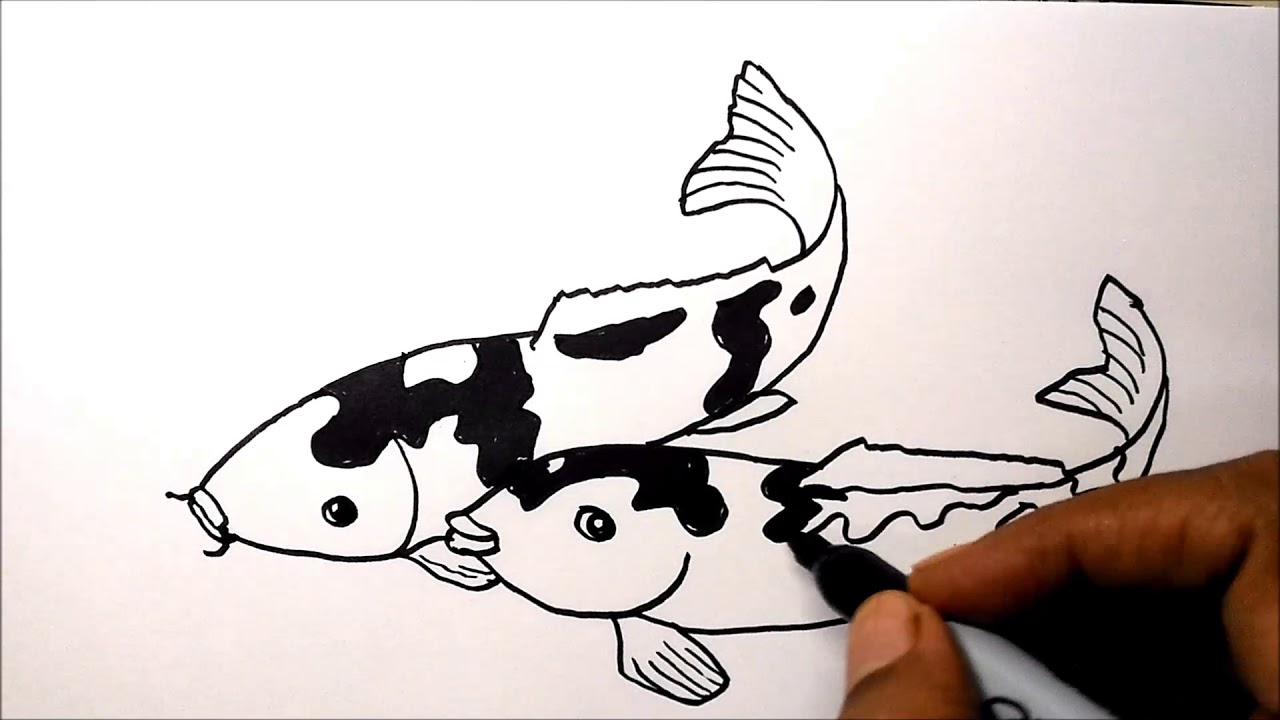 Detail Sketsa Gambar Ikan Koi Nomer 34