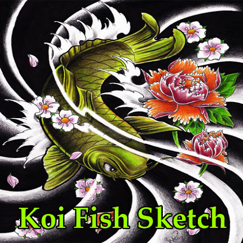 Detail Sketsa Gambar Ikan Koi Nomer 39