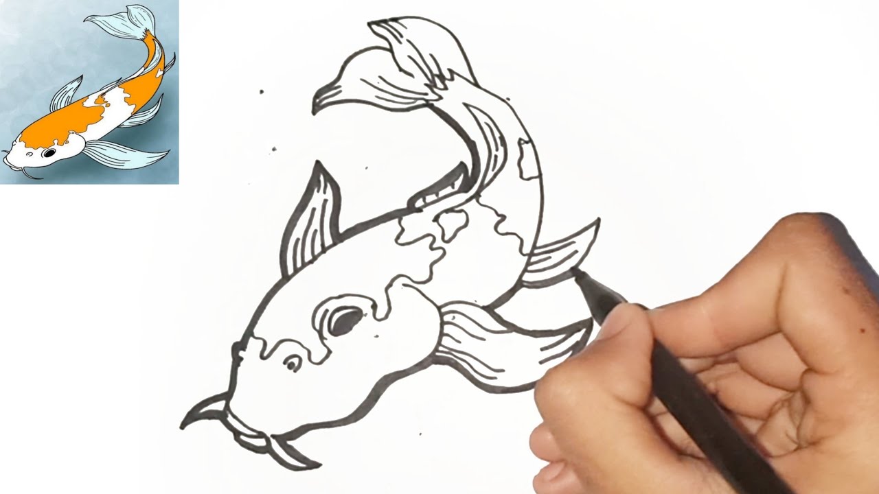 Detail Sketsa Gambar Ikan Koi Nomer 52