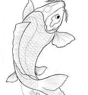 Detail Sketsa Gambar Ikan Koi Nomer 54