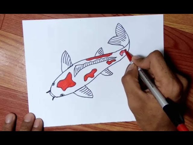 Download Sketsa Gambar Ikan Koi Nomer 9