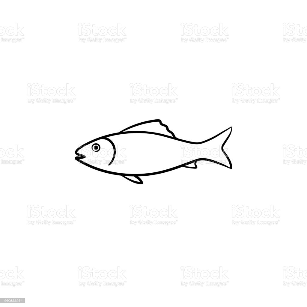Detail Sketsa Gambar Ikan Yang Mudah Digambar Nomer 24