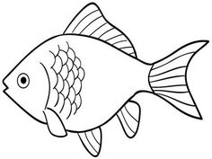 Detail Sketsa Gambar Ikan Yang Mudah Digambar Nomer 43