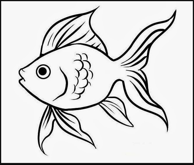 Detail Sketsa Gambar Ikan Yang Mudah Digambar Nomer 48